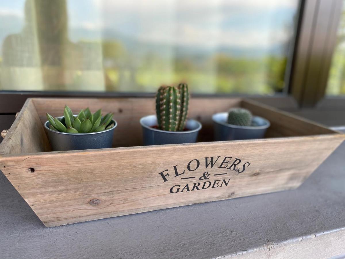 Flowers & Garden Apartment Con Vista Lago Manerba del Garda Bagian luar foto